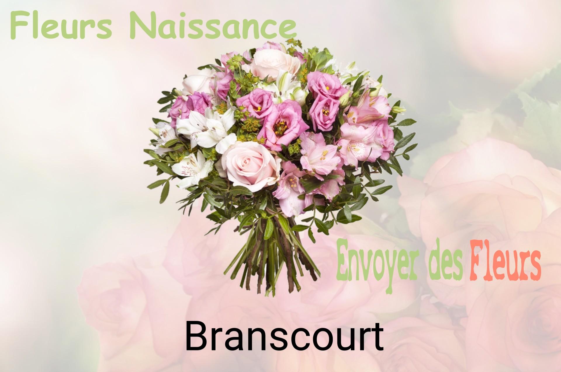 Bouquet de fleurs de naissance livré à Branscourt